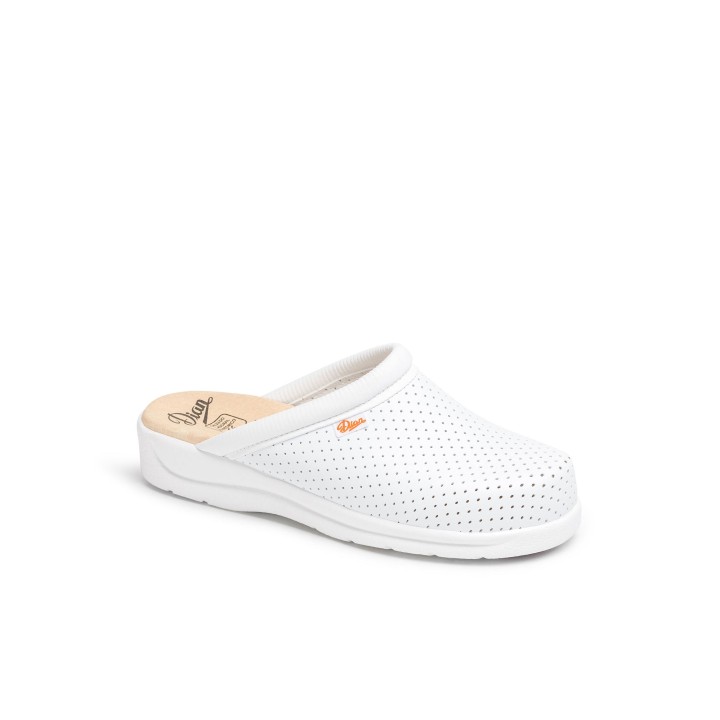 Zuecos Sanitarios Blancos DIAN