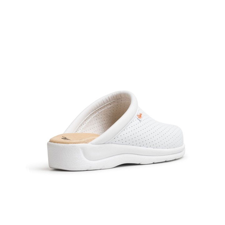 Zuecos Sanitarios Blancos DIAN