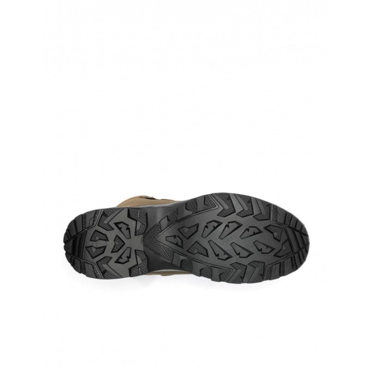 LABRADOR BOA 01